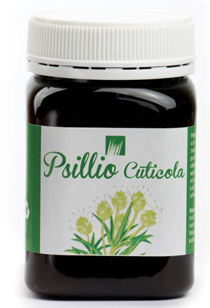 Psillio cuticula