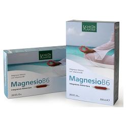 Magnesio b6 20ab 15ml n-s