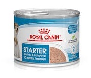 Royal Canin Cane Starter Mousse Mother &amp; Baby Dog 195 Gr