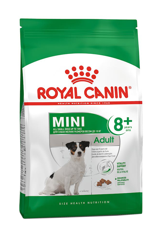 Royal Canin Cane Mini Adulto 8+ 4 Kg