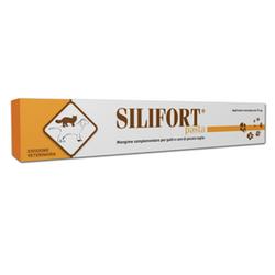 Silifort Pasta 30 Gr