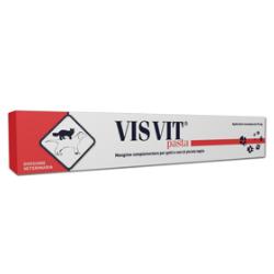 Visvit Pasta 15 Gr
