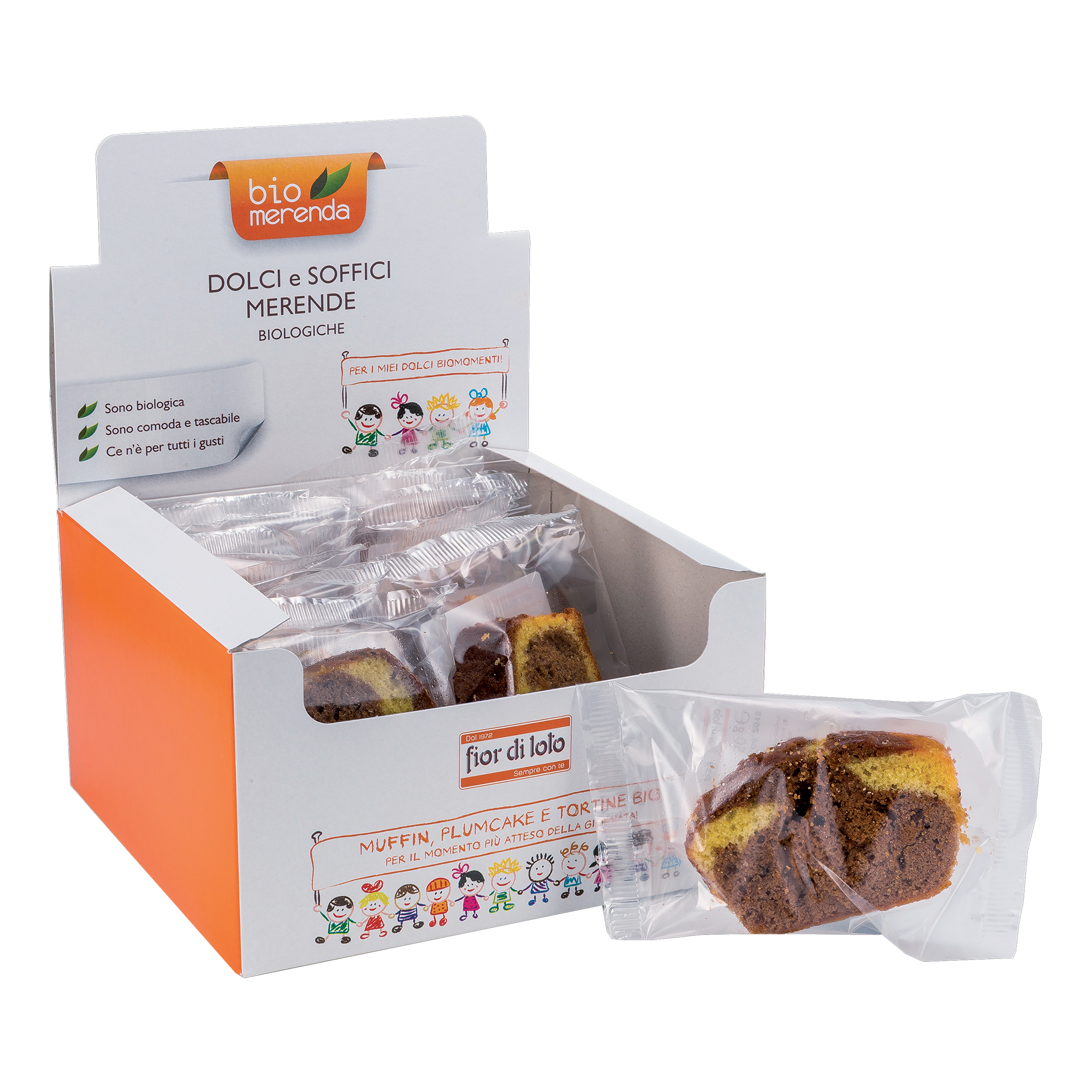 Plumcake frum fetta bicolorbio