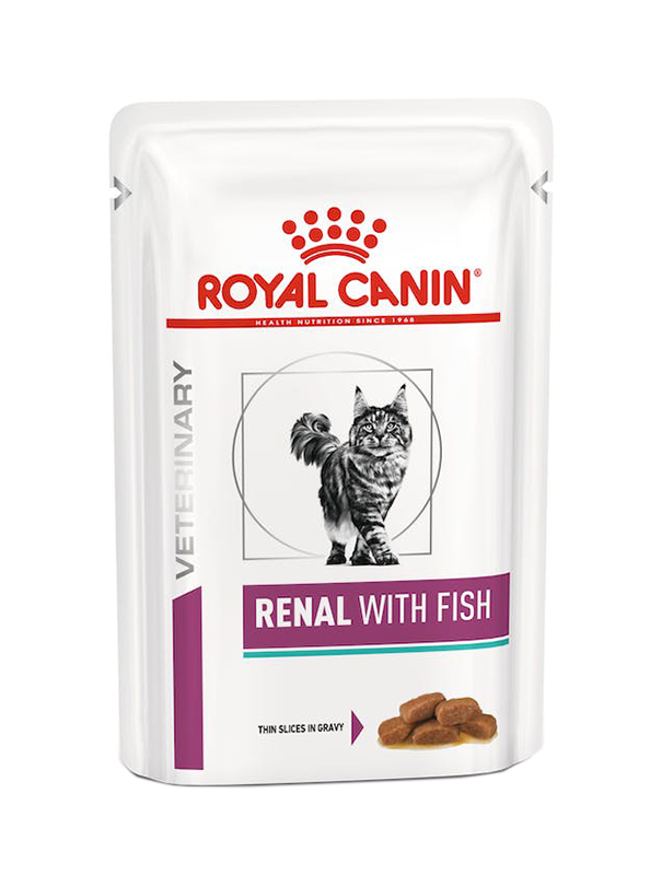 Royal Canin Gatto Renal Pesce Busta In Salsa Cf. (12X85) Gr