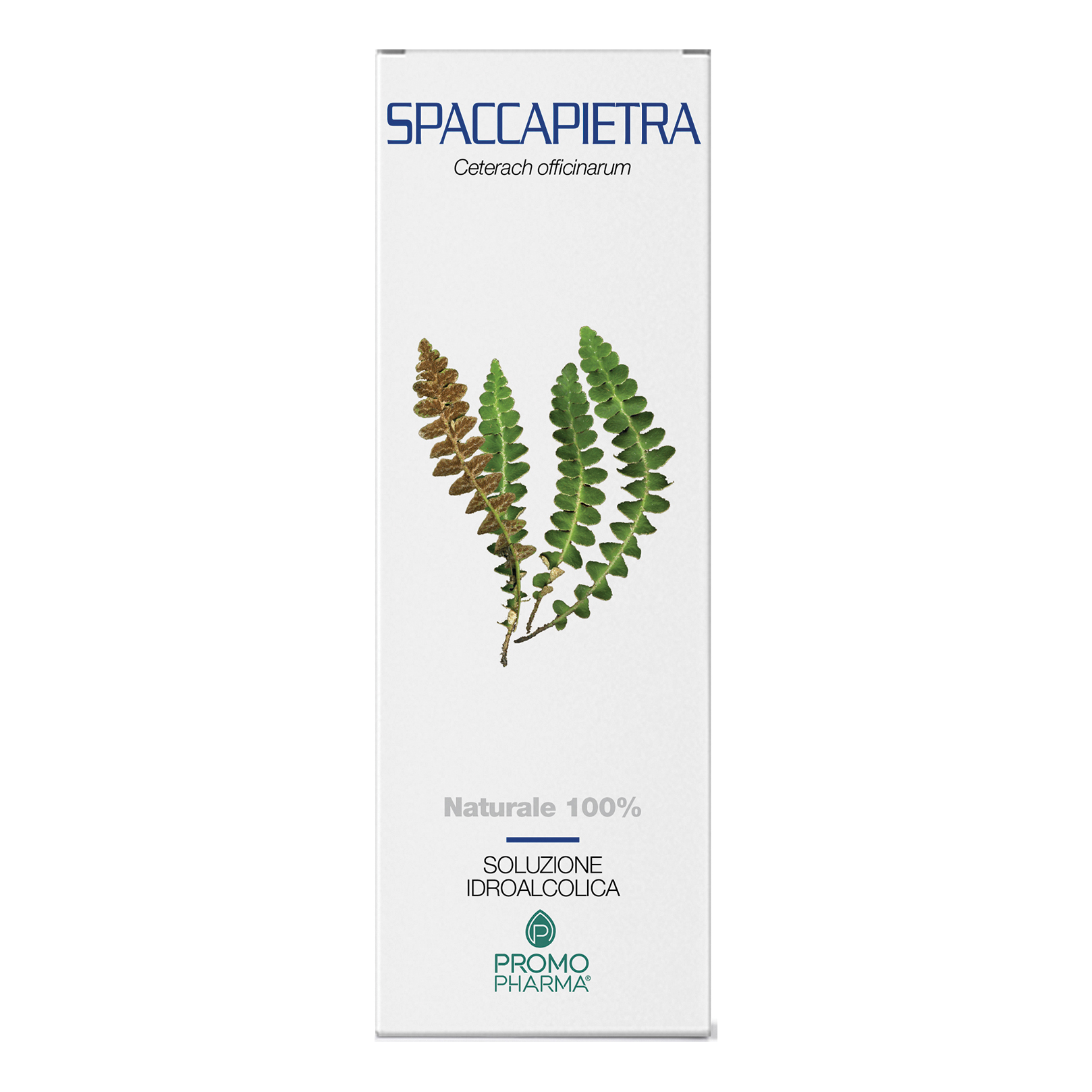 Spaccapietra sommita' taglio tisana 100 g