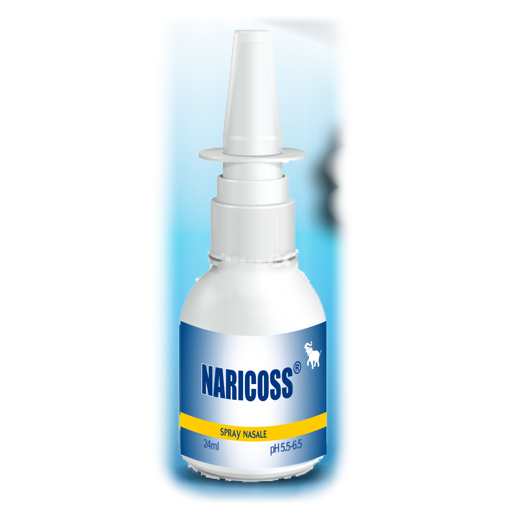 Naricoss spray nasale 24 ml