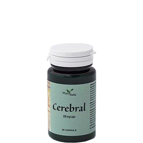 Cerebral ayurved 60 capsule
