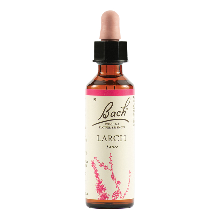 Bach Original Flower Remedy Larch 20 ml
