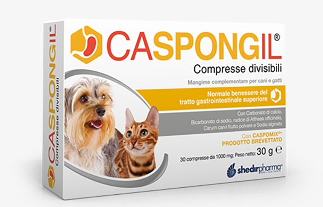 Caspongil 30 Compresse