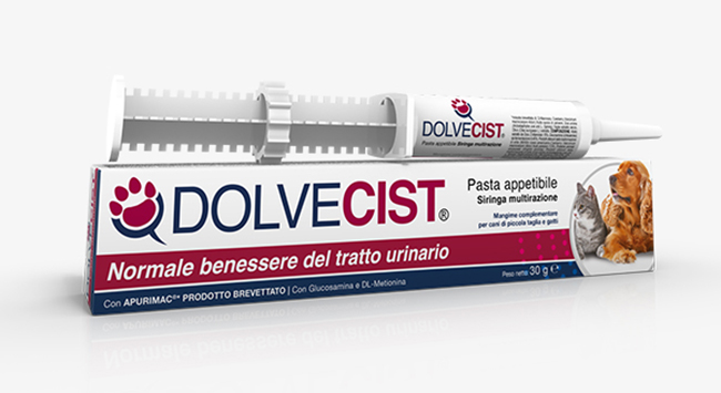Docevist Pasta Siringa 30 G