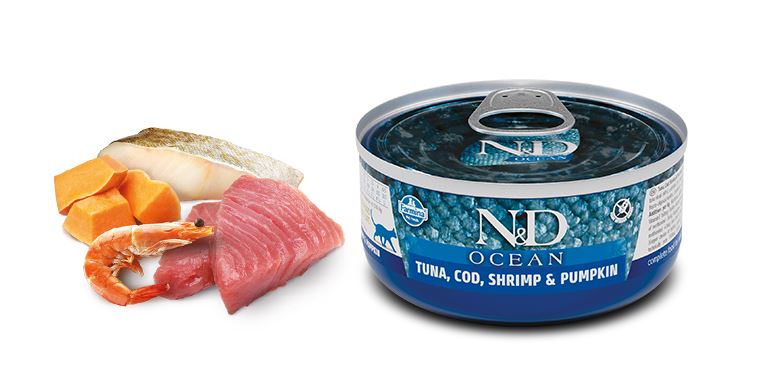 N&amp;D Cat Ocean Codfish &amp; Shrimps &amp; Pumpkin Kitten 80 G