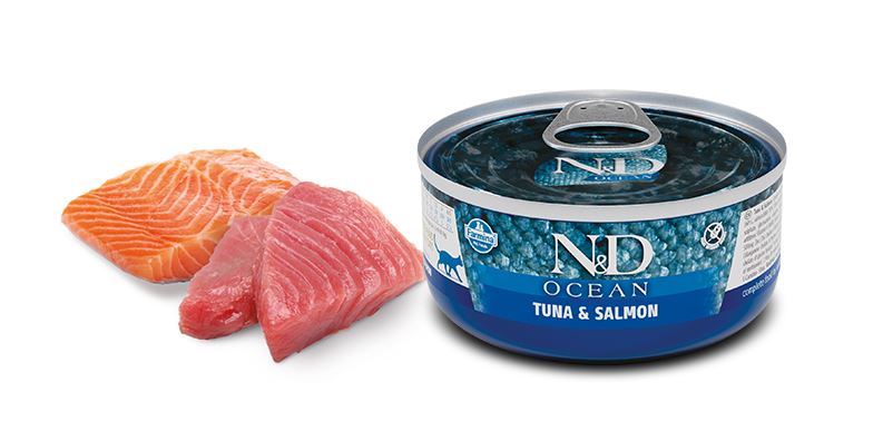 N&amp;D Cat Ocean Trout &amp; Salmon &amp; Shrimps 80 G