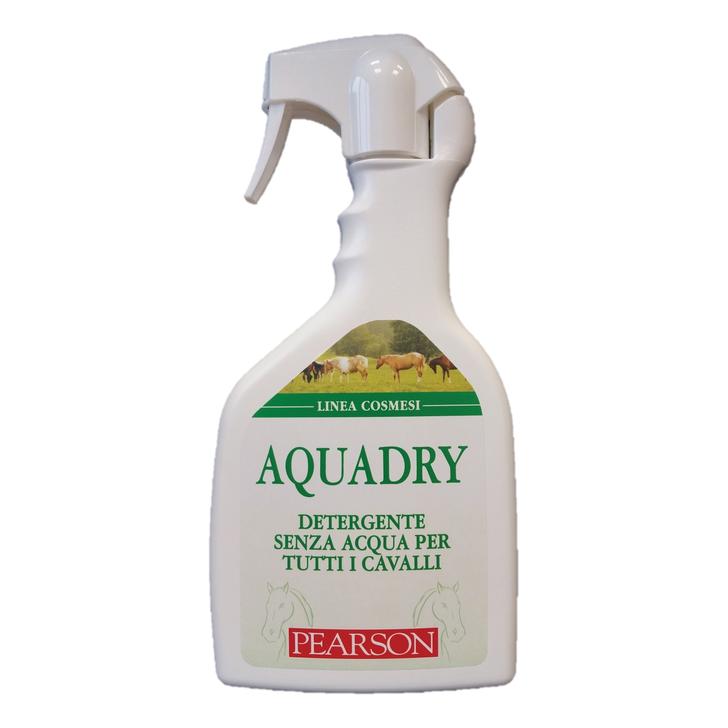 Aqua dry detergente senza acqua 700 ml