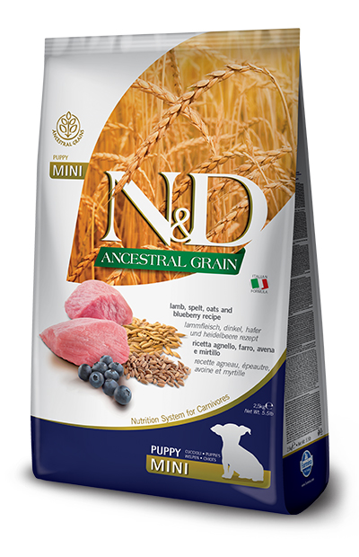 N&amp;d low grain dog lamb &amp; blueberry puppy mini 800 g