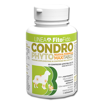 Condrophyto 60 Compresse 2 G