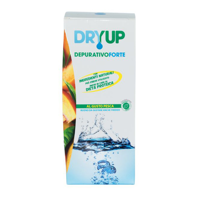 Dryup depurativo forte 300ml