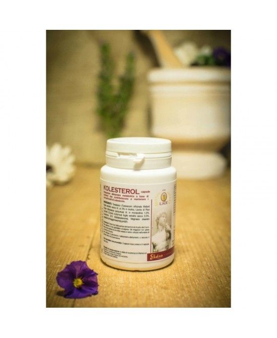 Kolesterol 40 Capsule