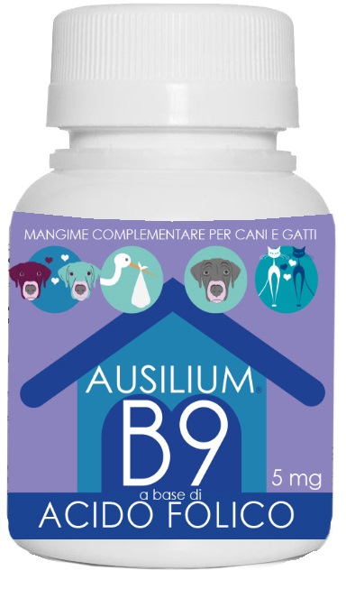 Ausilium B9 Vet Acido Folico 100 G