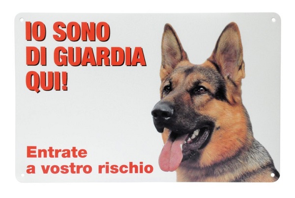 Camon Targa Humor Gatto