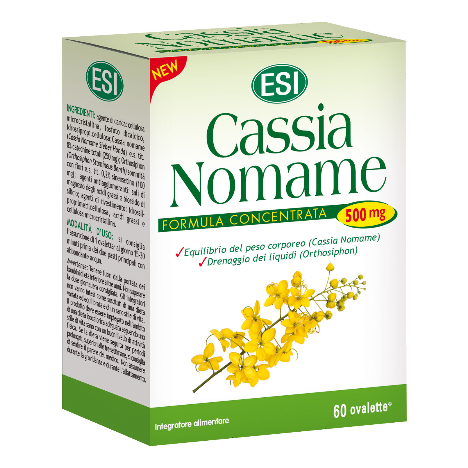 Cassia nomame 60 oval.esi