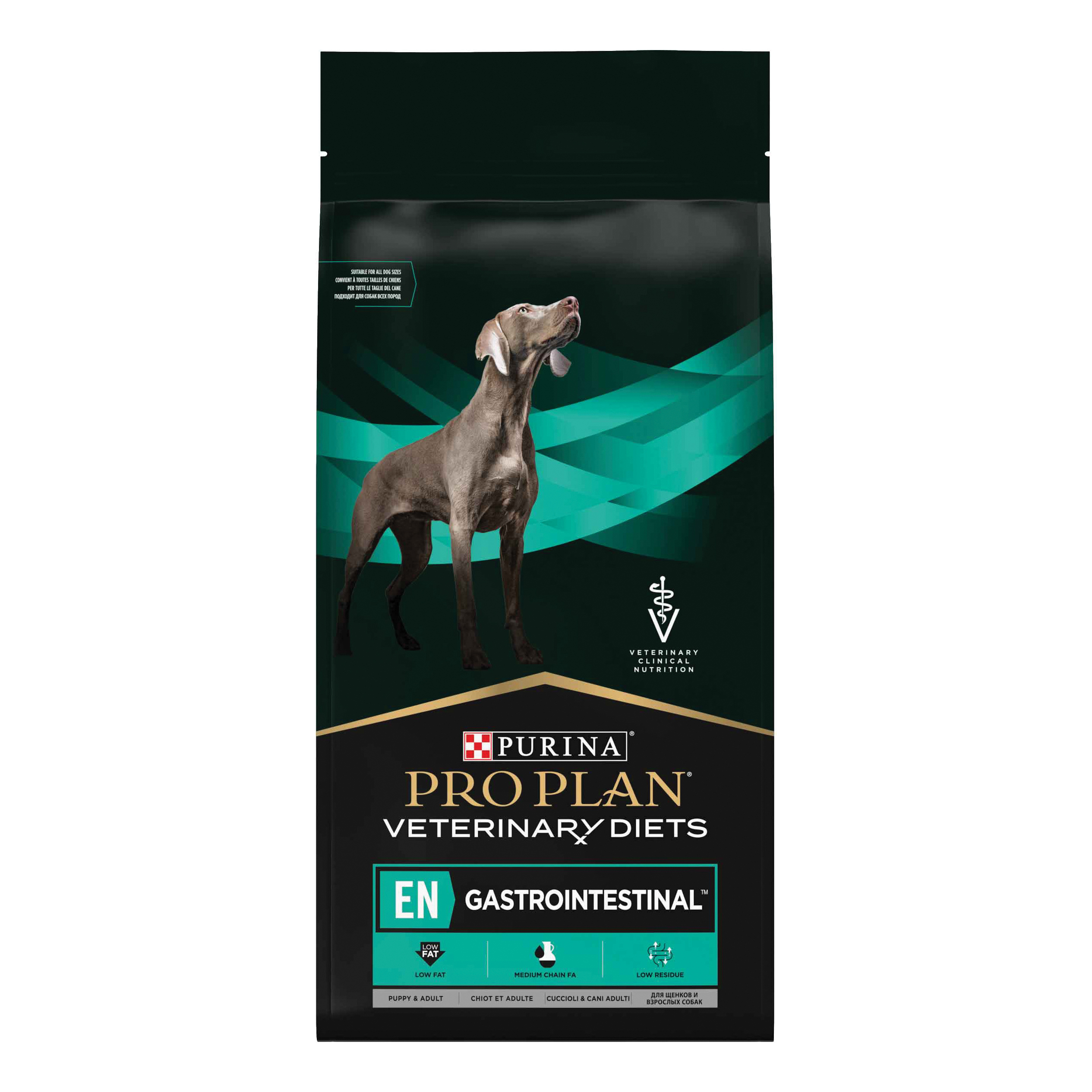 Ppvd cane en gastrointestinal 12 kg