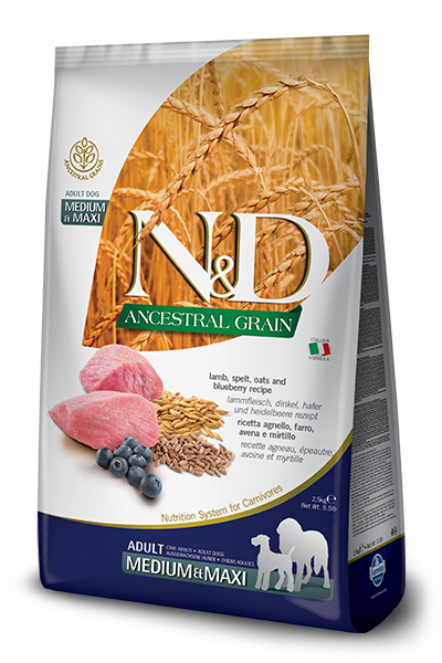 N&amp;d ancestral grain dog lamb &amp; blueberry adult medium/maxi 12 kg
