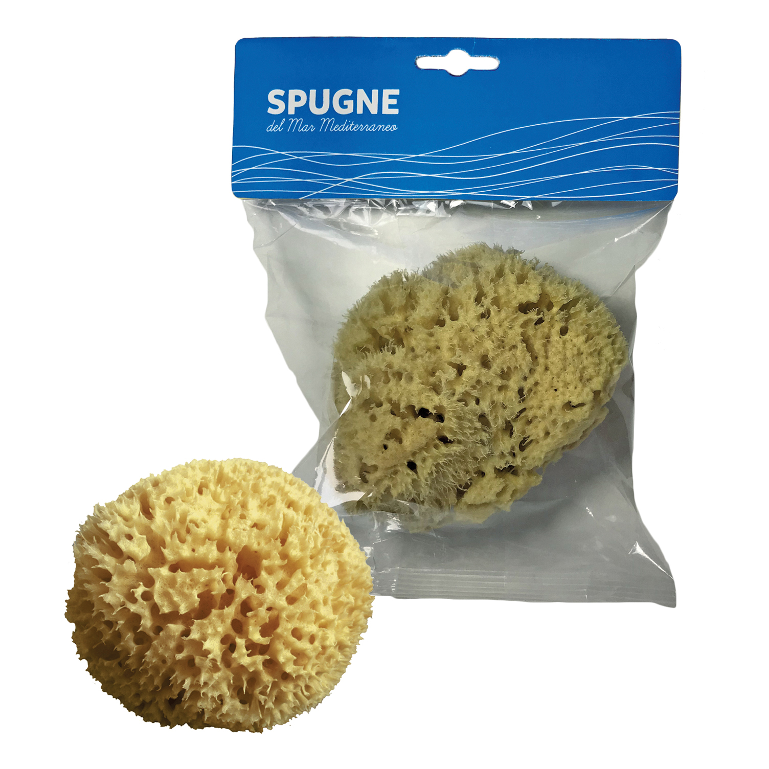 Spugna arcipelago mediterraneo naturale 10