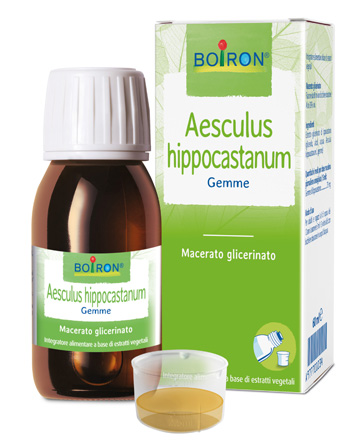 Bo.aesculus hipp. mg i 60ml