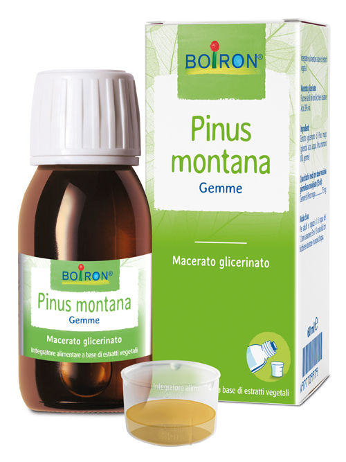 Bo.pinus mont.mg 60ml