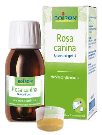 Bo.rosa canina mg i 60ml