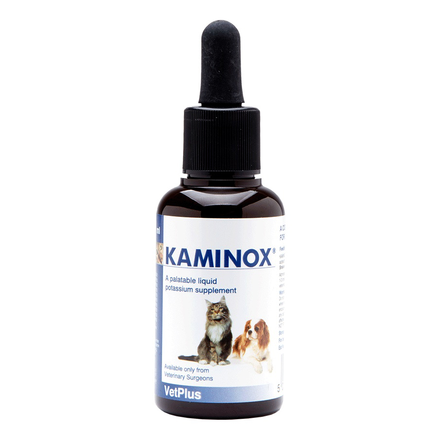 Kaminox Sciroppo 60Ml