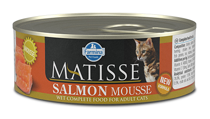 Matisse cat mousse salmon 300 g