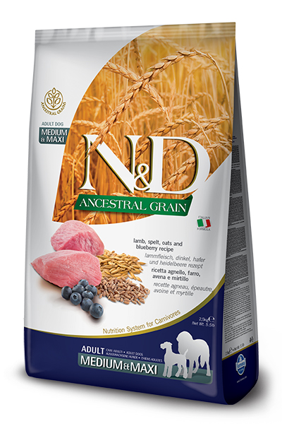 N&amp;d dog ancestral lamb&amp;blueberry adult medium maxi 2,5 kg