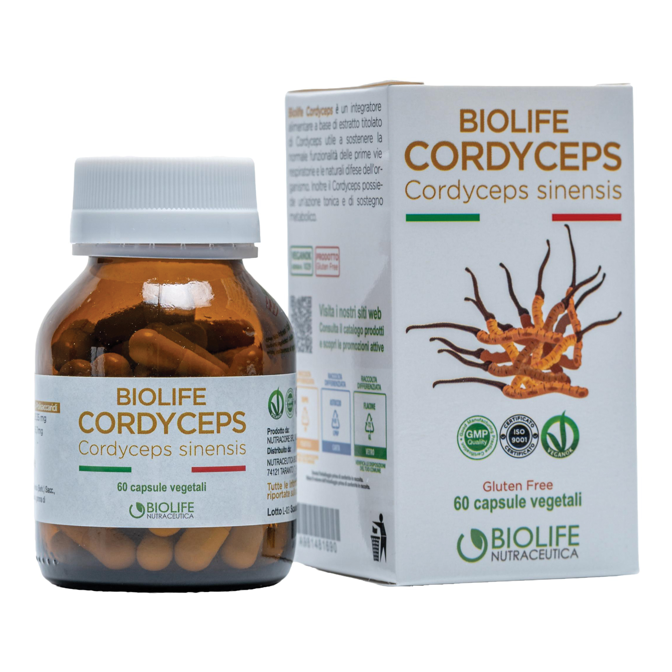 Biolife cordyceps 60 capsule