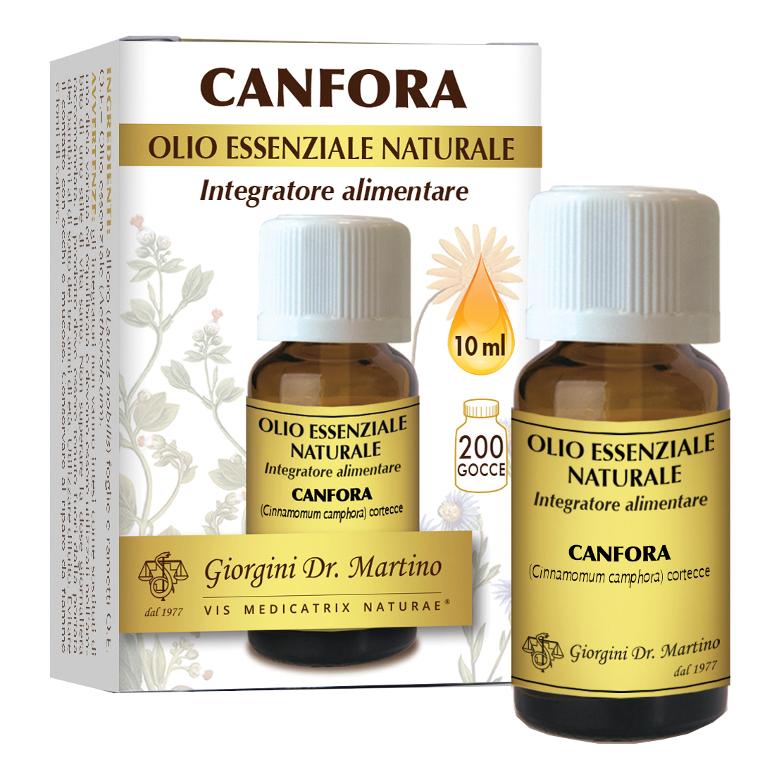 Canfora olio essenziale naturale 10 ml