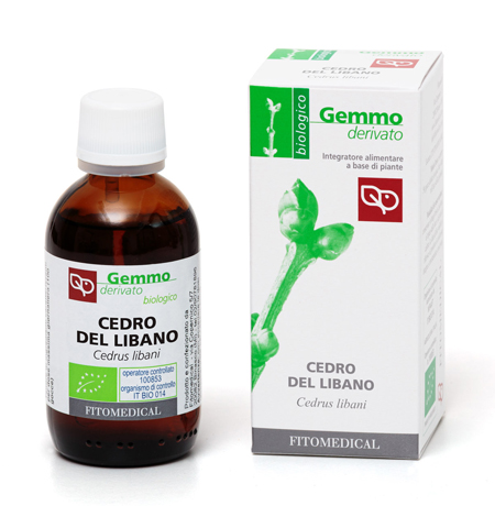 Cedro del libano macerato glicerico 50 ml bio
