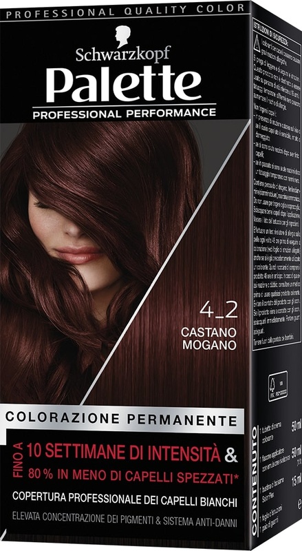PALETTE - Colorazione permanente N.4-2 Castano Mogano