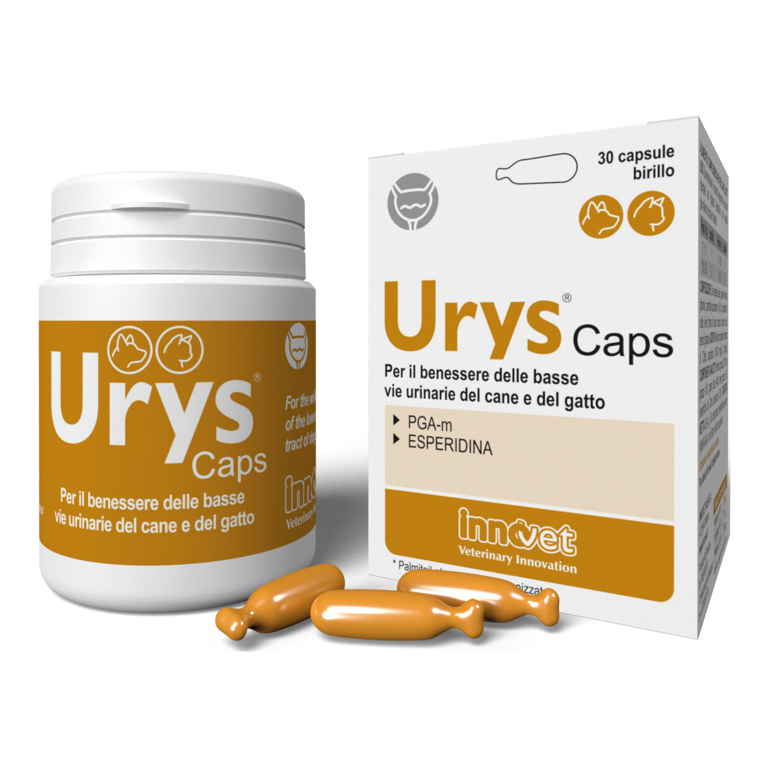 Urys Caps 30 Capsule Birillo Monodose