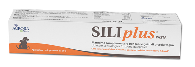 Siliplus Pasta 30 Gr