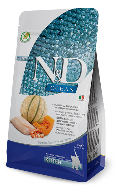 N&amp;d ocean cat merluzzo gamberi zucca melone cantalupo kitten kg 1,5