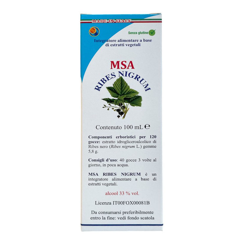 Msa ribes nigrum 100 ml