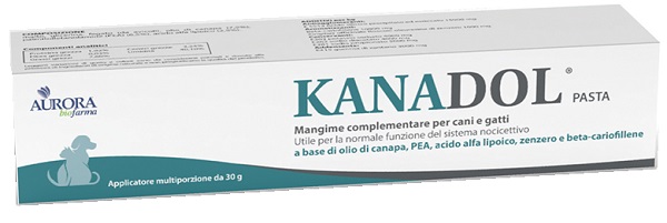 Kanadol Pasta 30 G