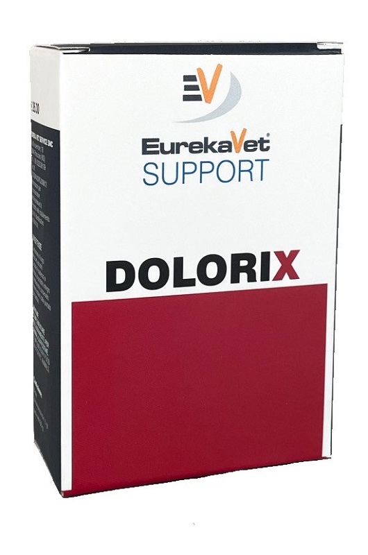 Dolorix 24 Compresse