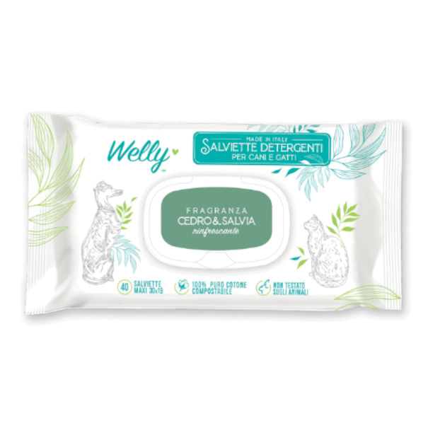Welly salviette detergenti rinfrescanti cedro &amp; salvia 40 pezzi