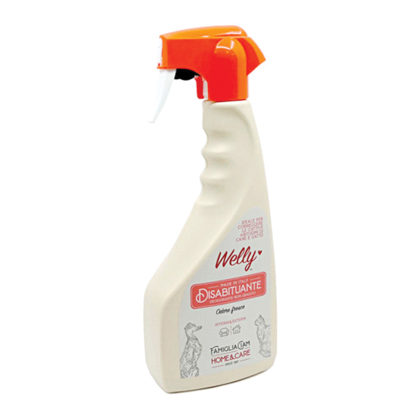 Welly disabituante 500 ml interni &amp; esterni