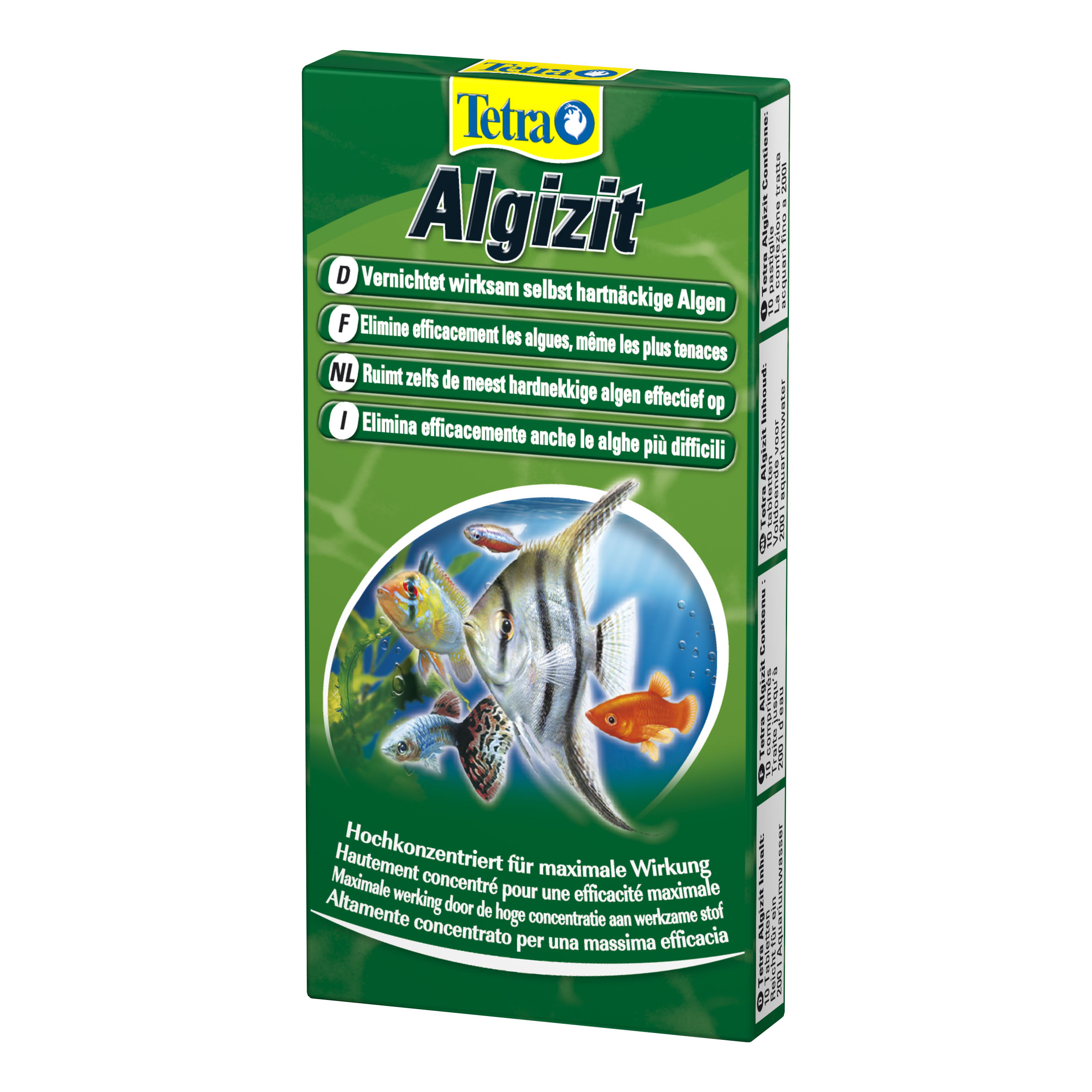 Algizit 10 tav