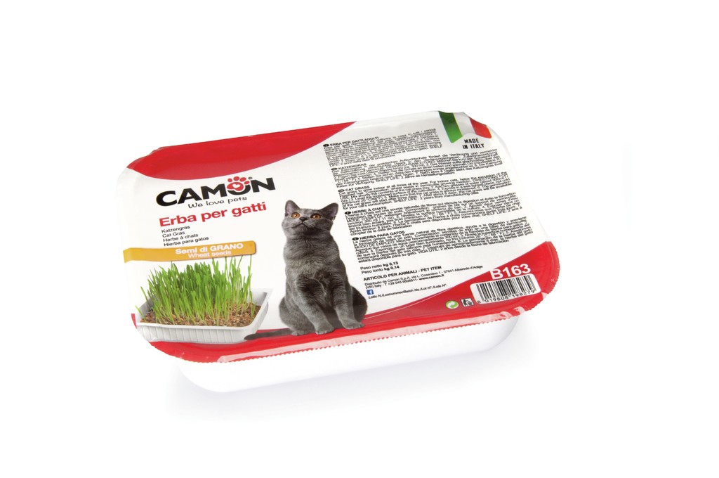 Camon Gatto Erba Gatta Con Semi Di Grano 130 Gr