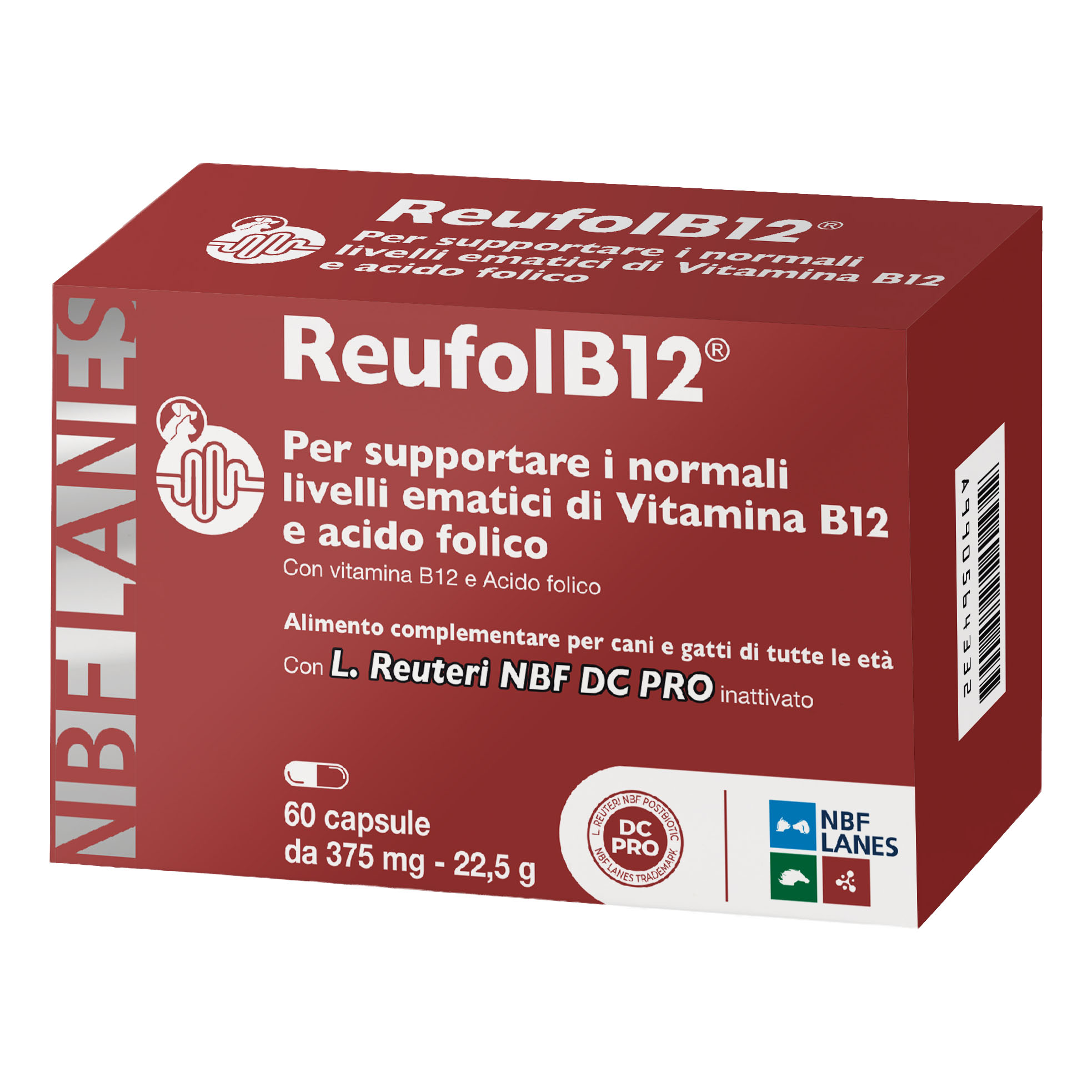 Reufolb12 60 capsule