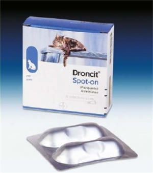Droncit-Spot-On Gatti