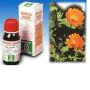Sp.calendula off.tm 50ml thumbnail